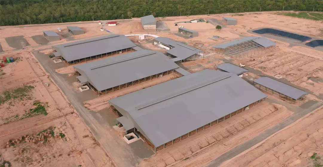 Kirisu Farm Pebsteel Project